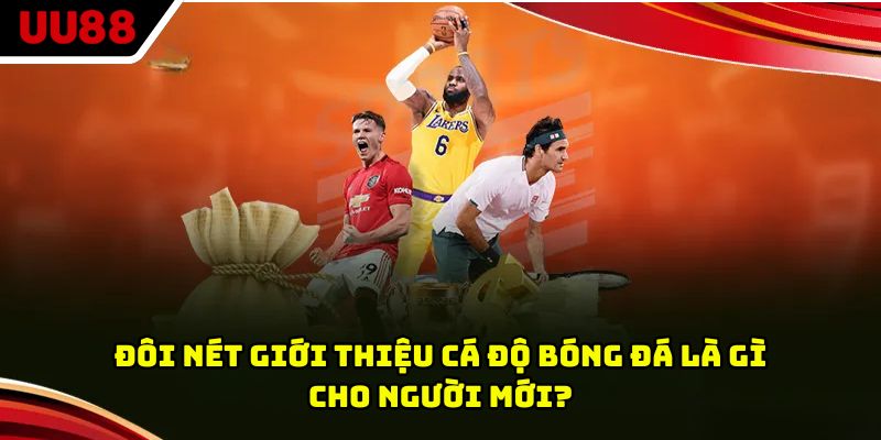 Đôi nét giới thiệu cá độ bóng đá là gì cho người mới?