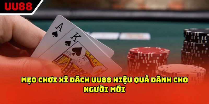 Mẹo chơi xì dách UU88 hiệu quả dành cho người mới