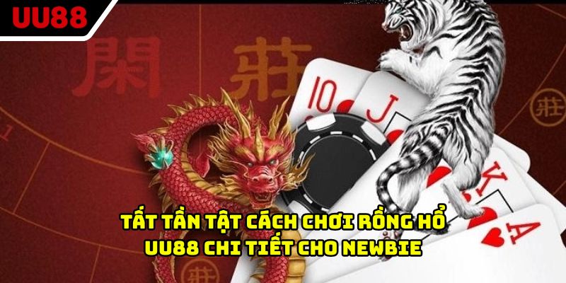 Tất tần tật cách chơi rồng hổ UU88 chi tiết cho Newbie