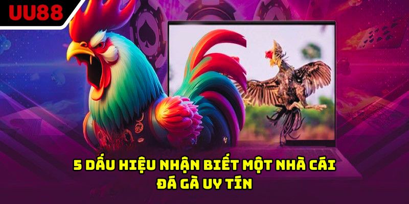 5 dấu hiệu nhận biết một nhà cái đá gà uy tín