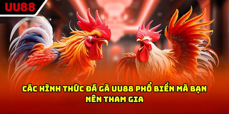 Các hình thức đá gà UU88 phổ biến mà bạn nên tham gia