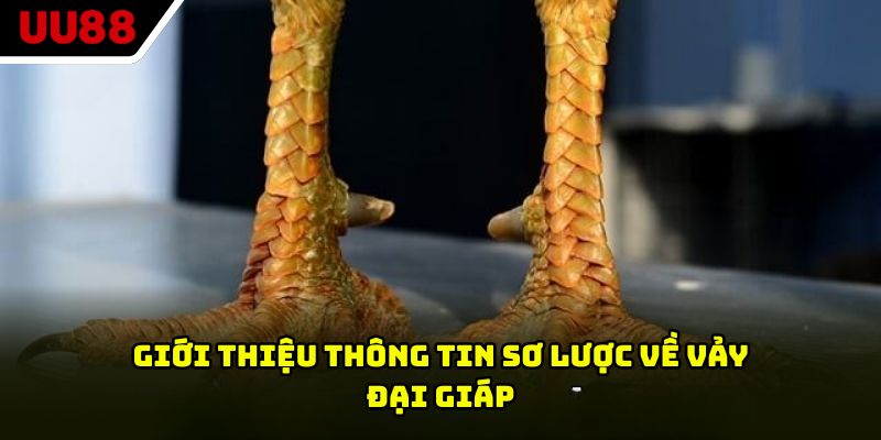 Giới thiệu thông tin sơ lược về vảy đại giáp