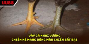 Vảy Gà Khai Vương - Chiến Kê Mang Dòng Máu Chiến Bất Bại