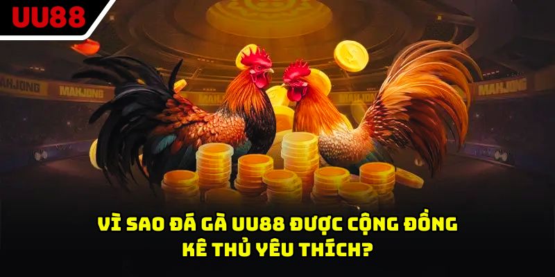 Vì sao đá gà UU88 được cộng đồng kê thủ yêu thích?
